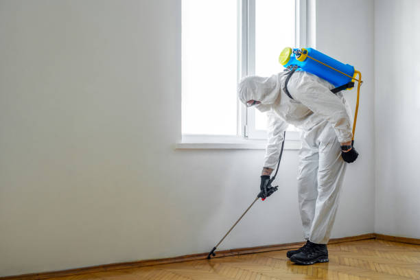 Best Termite Control Services  in West Hamburg, PA
